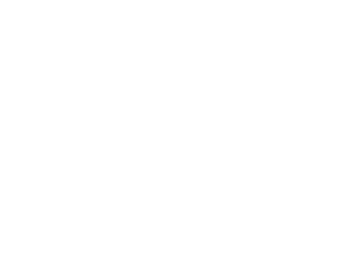 Mavidon Store